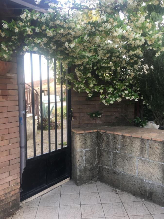 A Casa Di Nonna Emilia Bed & Breakfast Campagna Luaran gambar