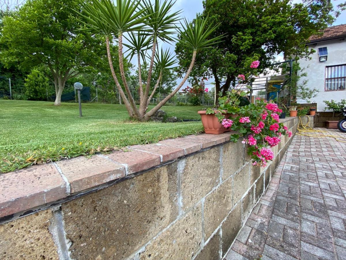 A Casa Di Nonna Emilia Bed & Breakfast Campagna Luaran gambar