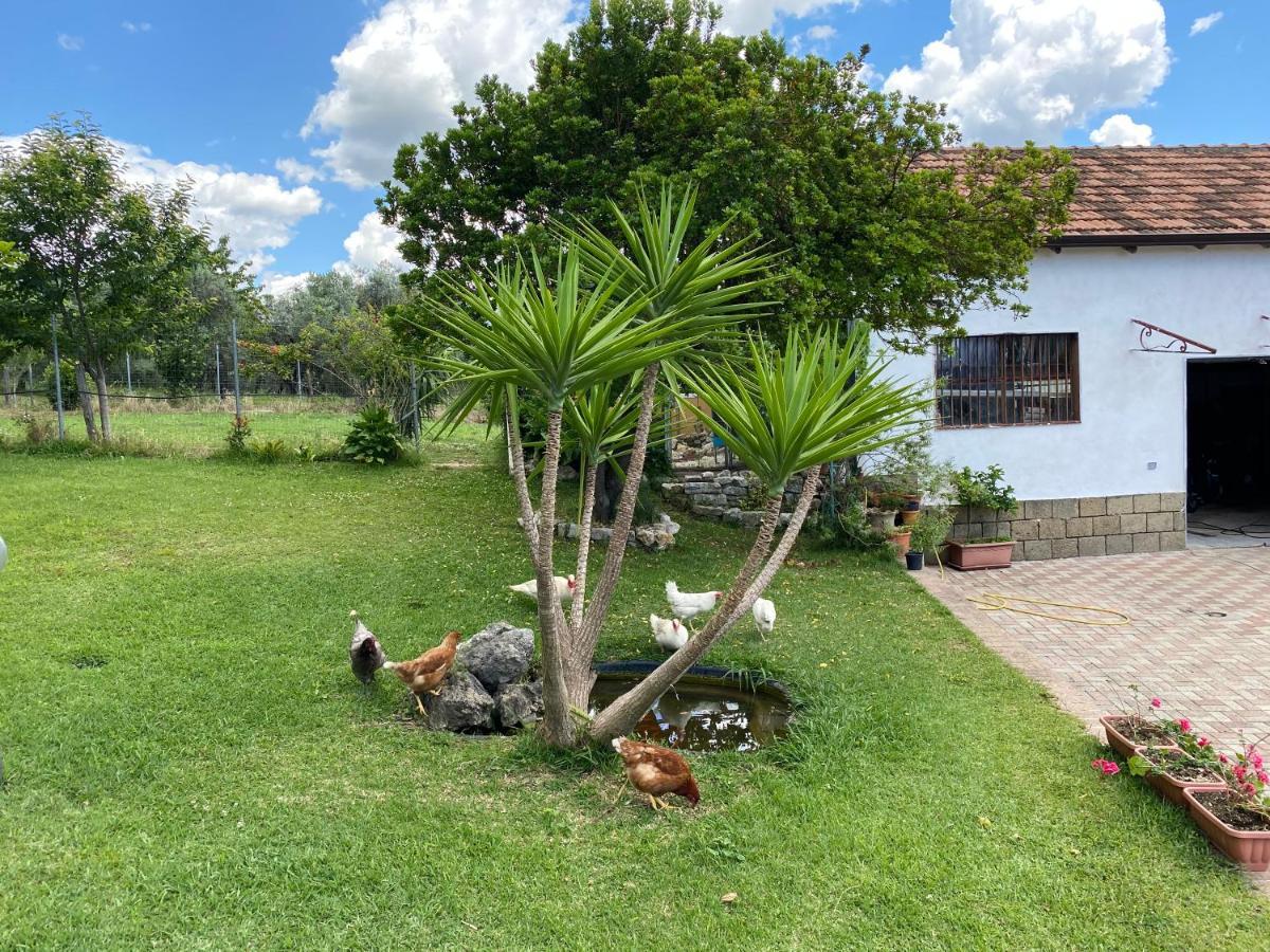 A Casa Di Nonna Emilia Bed & Breakfast Campagna Luaran gambar