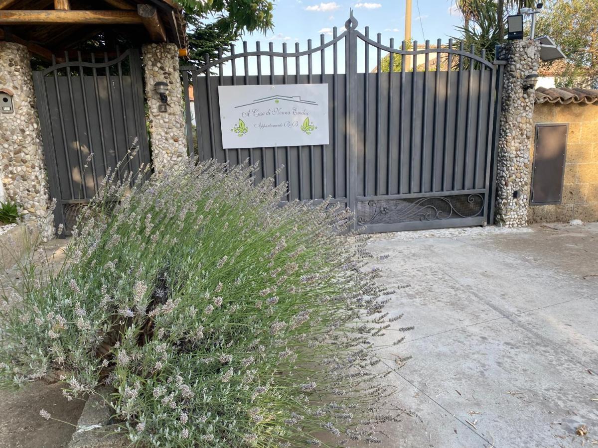 A Casa Di Nonna Emilia Bed & Breakfast Campagna Luaran gambar